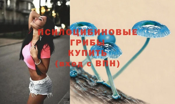 COCAINE Горно-Алтайск