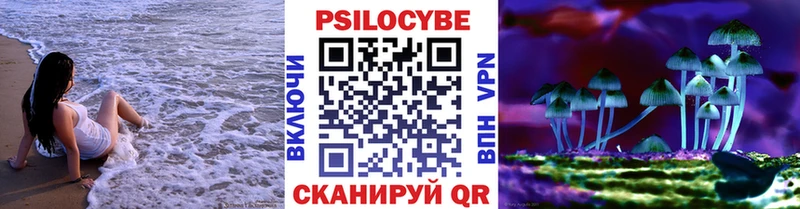 Псилоцибиновые грибы мухоморы  как найти   Севск 